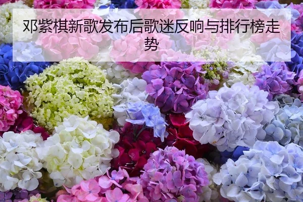 邓紫棋新歌发布后歌迷反响与排行榜走势